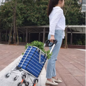 GREEN LION FOLDABLE SHOPPING TROLLEY SILVER GNFLDSHPTRS