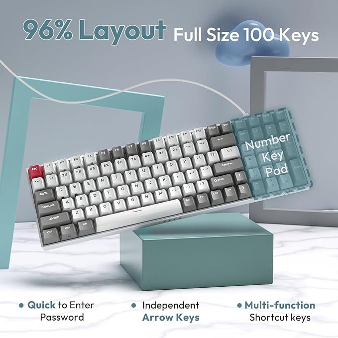 Royal Kludge RGB Tri-Mode Hot-Swap Gaming Keyboard - RK100 - Image 6