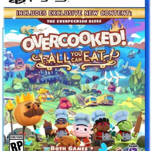 SONY PS5 OVERCOOKED GAMING CD