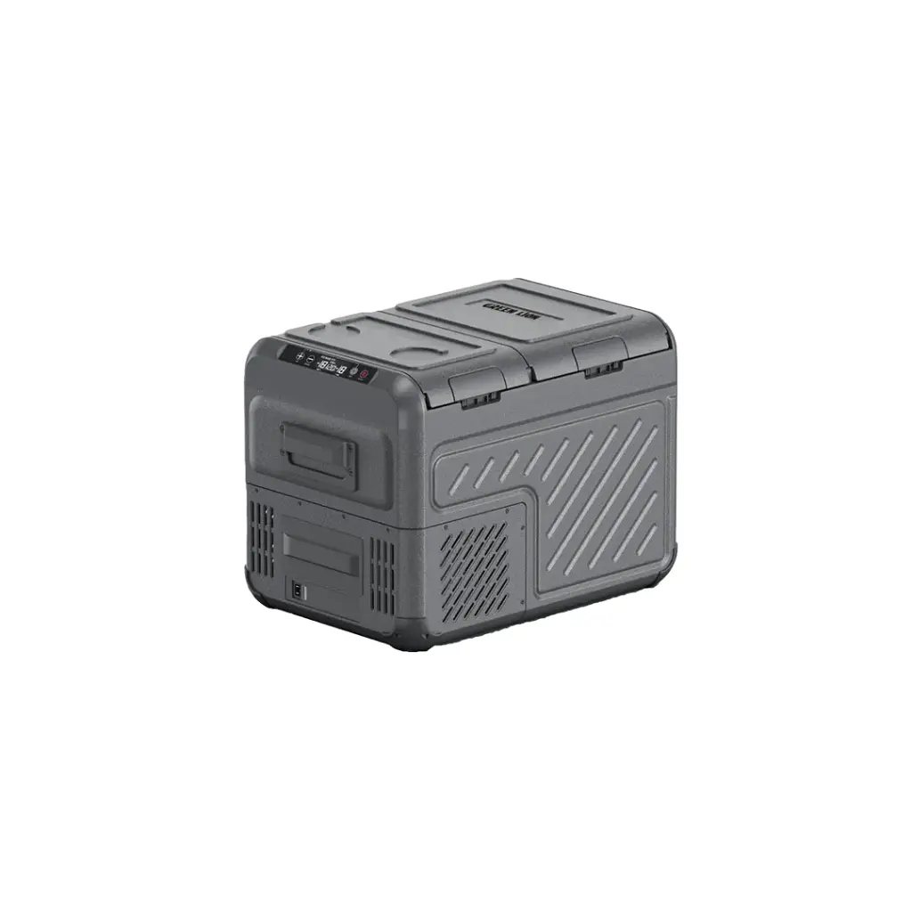 green lion car fridge
