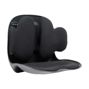 lumbar back support