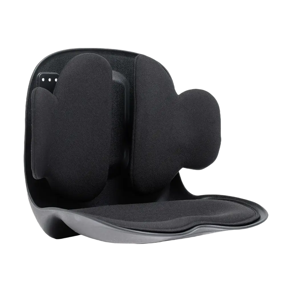lumbar back support