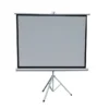 Green Lion Portable Projection Screen