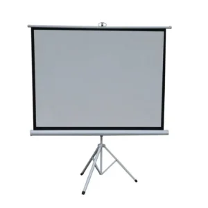Green Lion Portable Projection Screen
