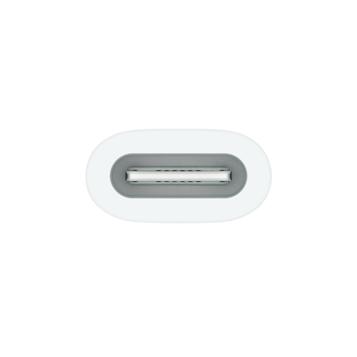 Apple USB-C to Apple Pencil Adapter (MWML3) - Connect Your Apple Pencil to USB-C Devices - Image 2