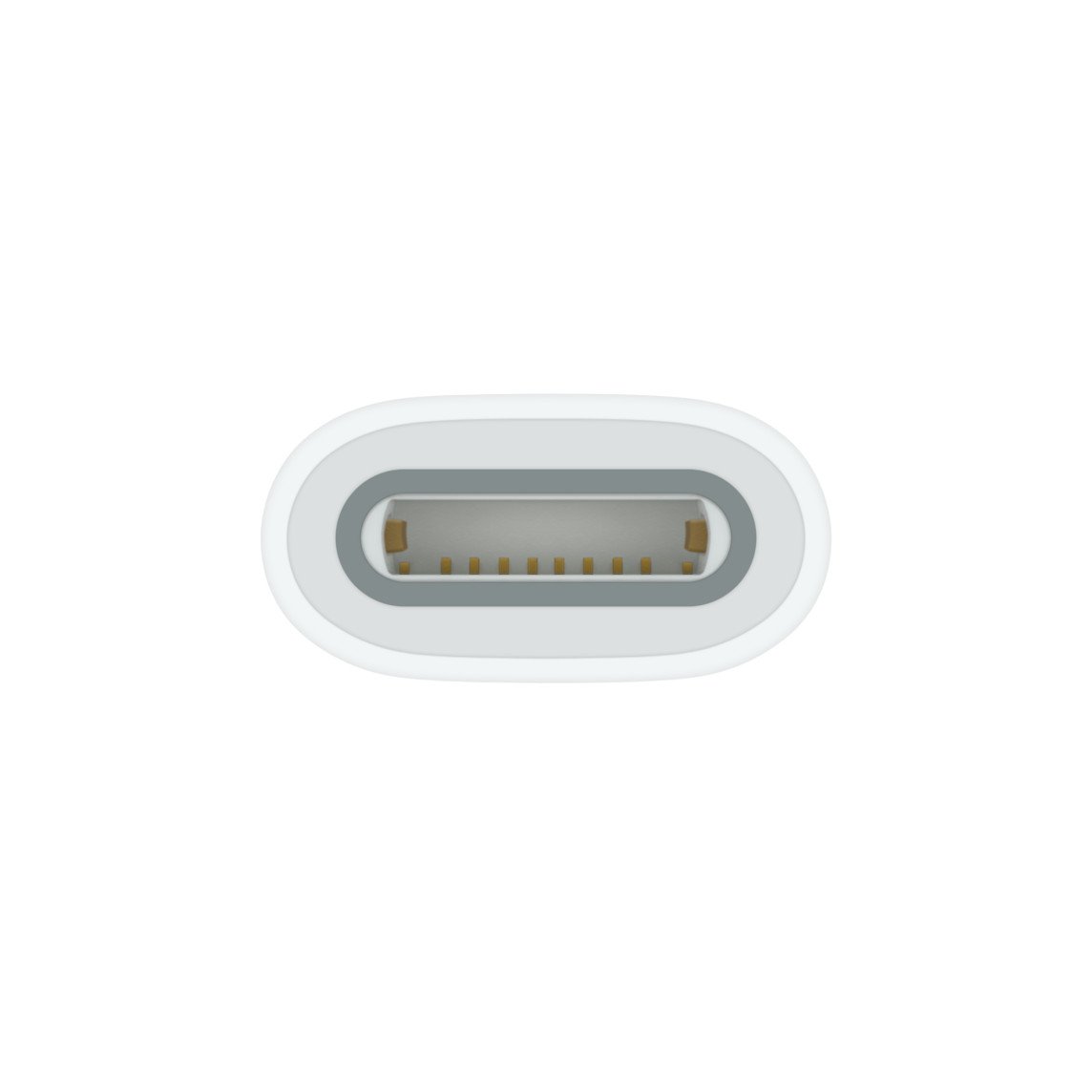 Apple USB-C to Apple Pencil Adapter (MWML3) - Connect Your Apple Pencil to USB-C Devices - Image 3