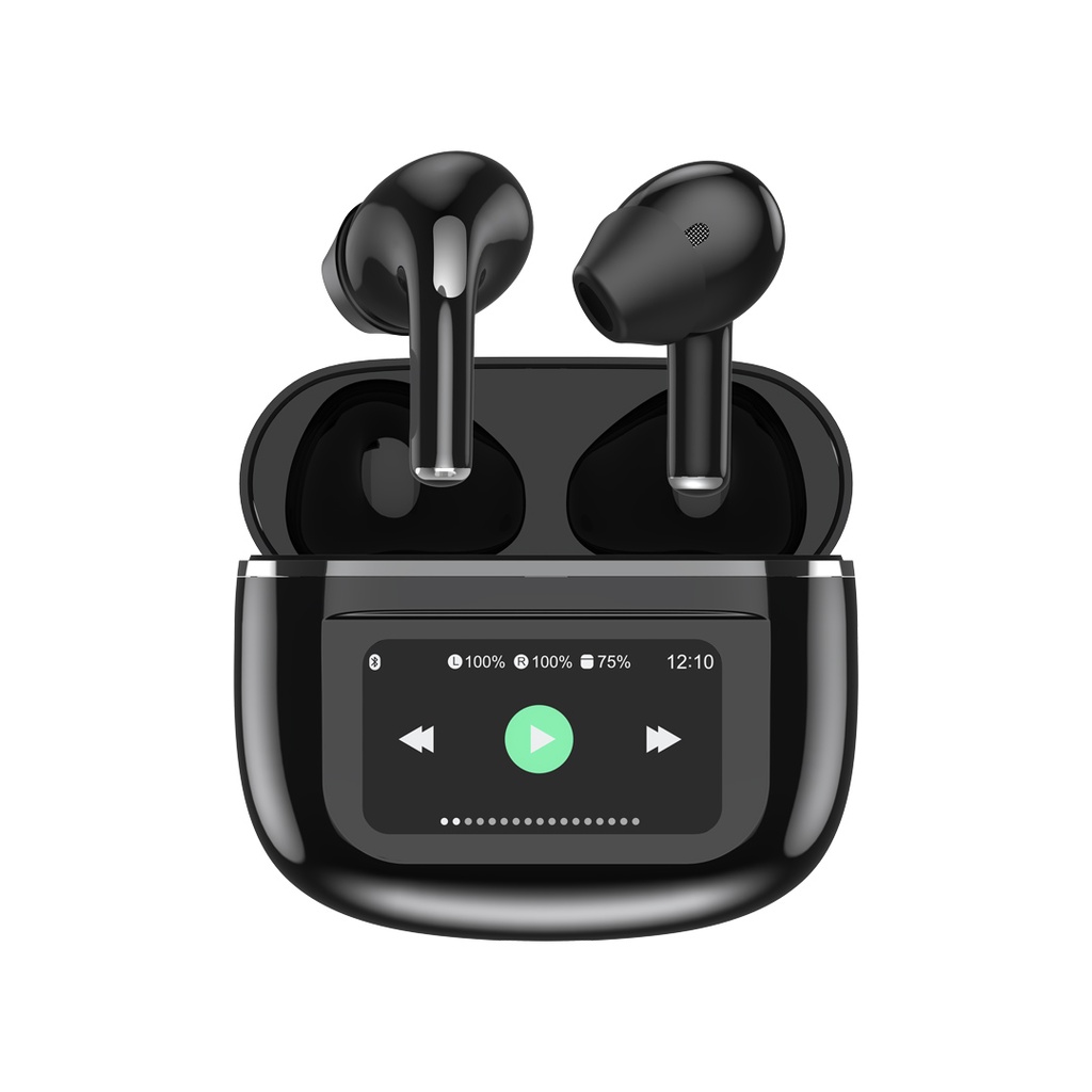 ANC Earbuds