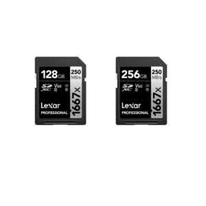 Lexar® Professional 1667x SDXC™ UHS-II Memory Card - Silver Series, Up to 250MB/s High-Speed Performance
