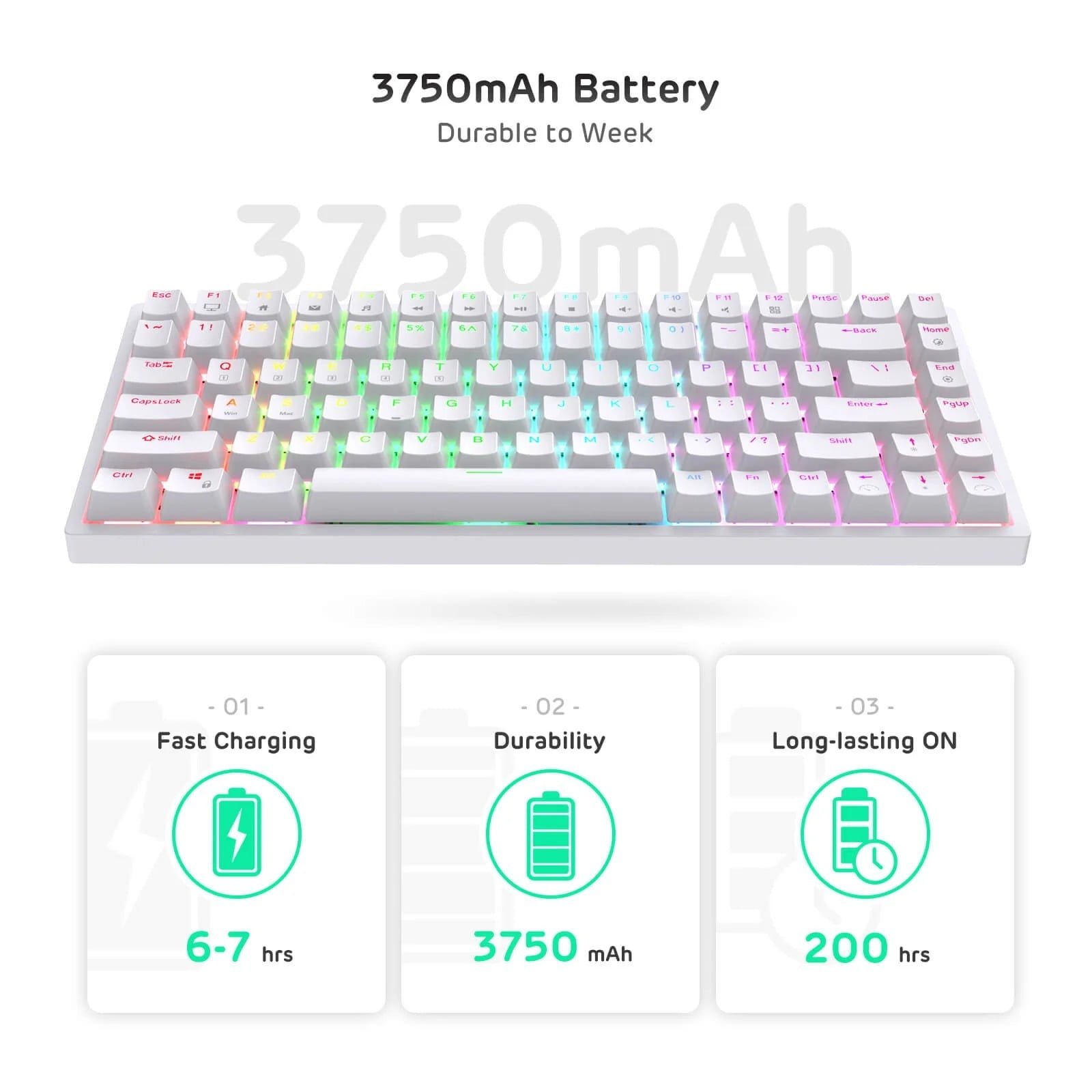 ROYAL KLUDGE GAMING KEYBOARD RGB TRI MODE HOT PLUG BLUE SWITCH WHITE RK84 - Image 4
