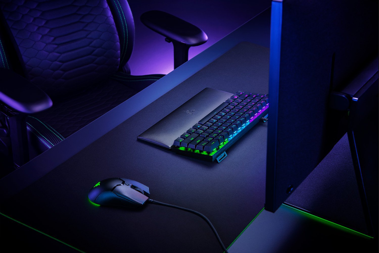 Razer Ergonomic Wrist Rest for Mini Keyboards (RC21-01720100-R3M1) - Compact Support for Comfortable Typing - Image 6