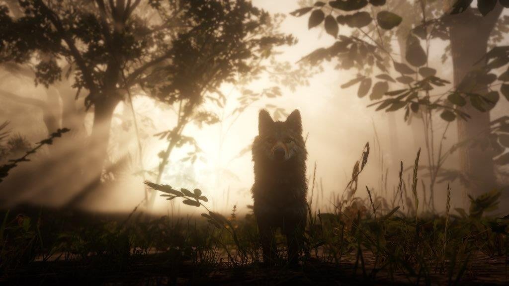 MICROSOFT XBOX SERIES RED DEAD REDEMPTION II GAME CD - Image 8