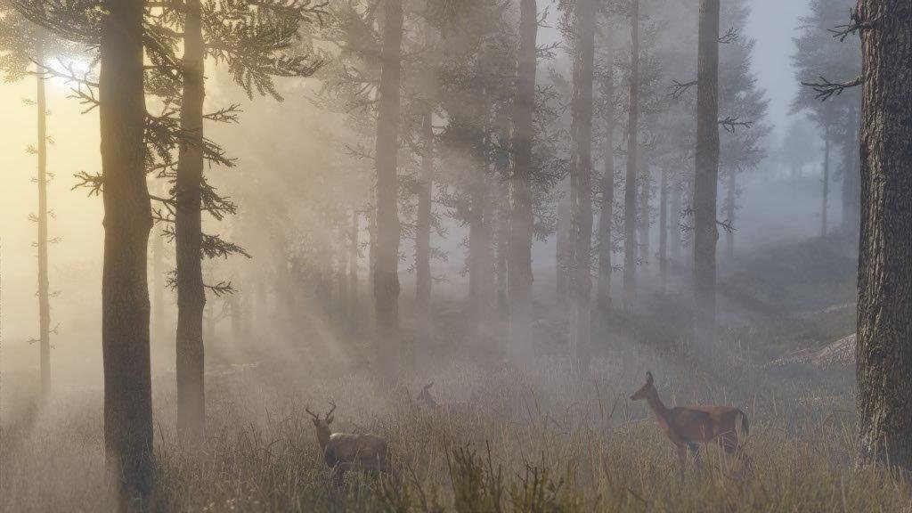 MICROSOFT XBOX SERIES RED DEAD REDEMPTION II GAME CD - Image 6